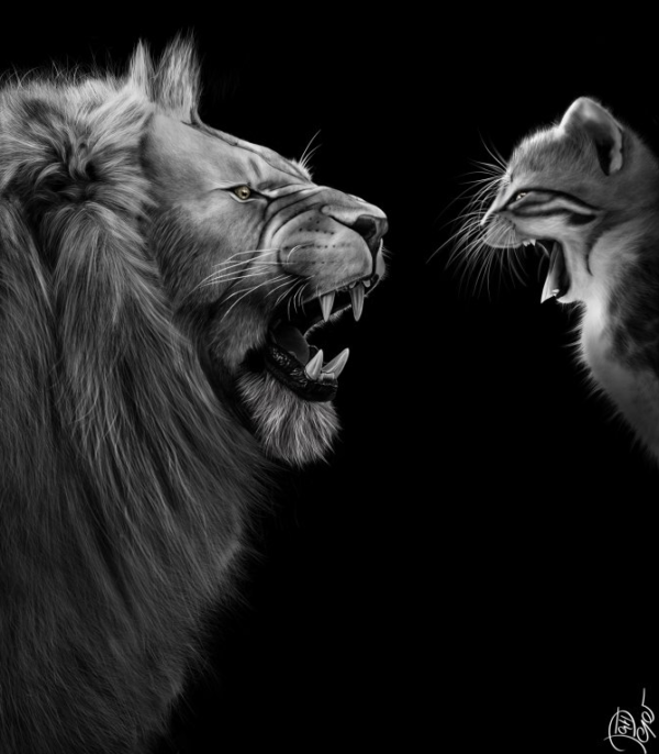 Obraz – The King – PepéArt