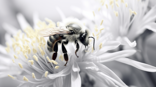 Obraz –  Včielka Príroda – AiArt 16:9