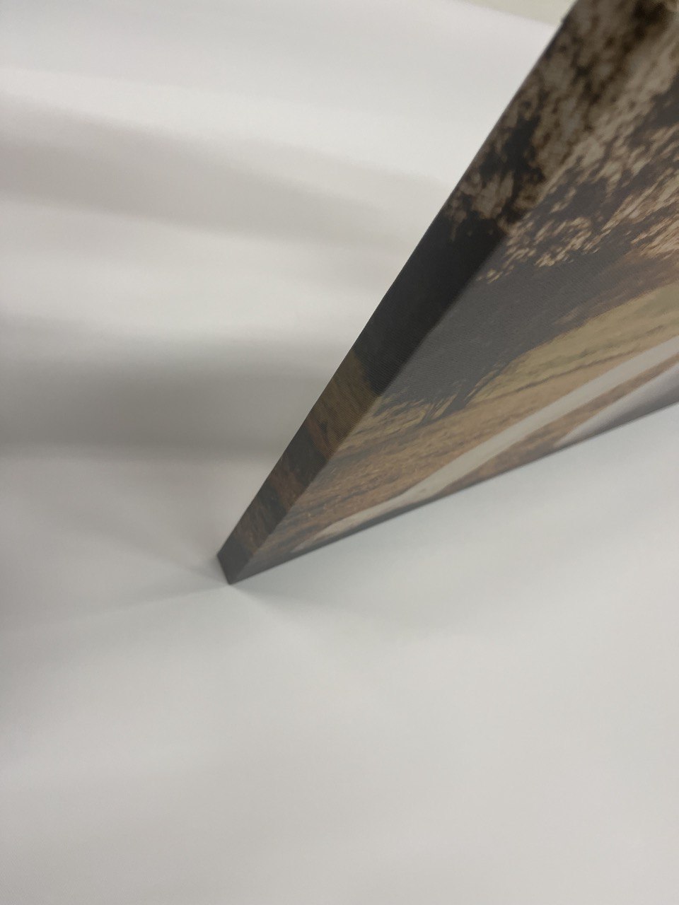 Obraz –  Rosegold Listy Abstrakcia – AiArt 16:9