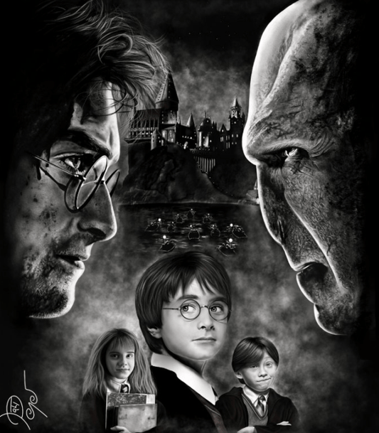 Obraz – Harry Potter – PepéArt
