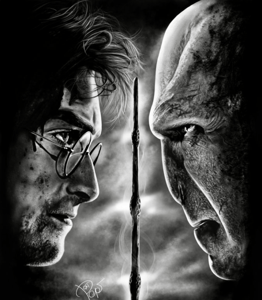 Obraz – Harry Potter vs Voldemort – PepéArt